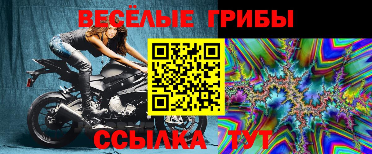 Владимир  Галлюциногенные грибы мухоморы  Галлюциногенные грибы Psilocybine cubensis  Вход с VPN 