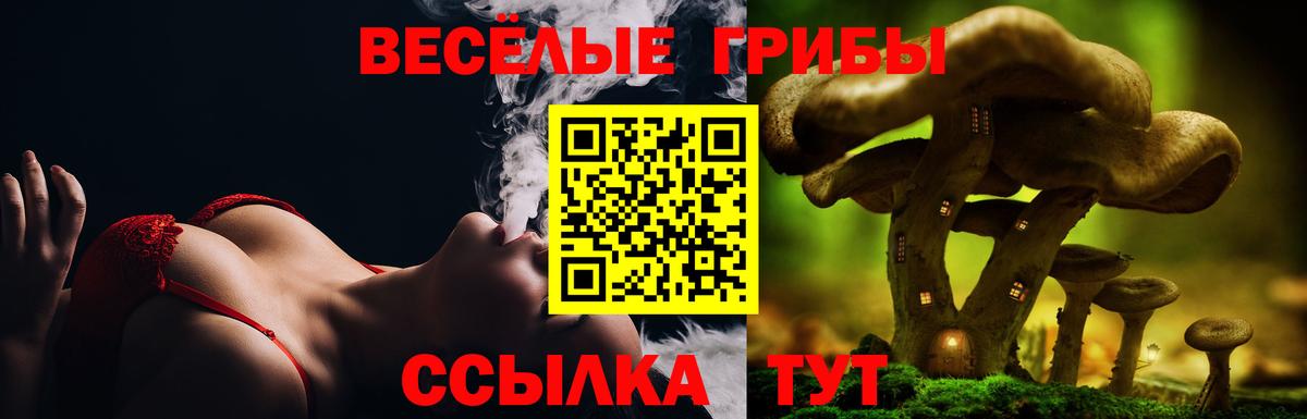 Псилоцибиновые грибы GOLDEN TEACHER Владимир